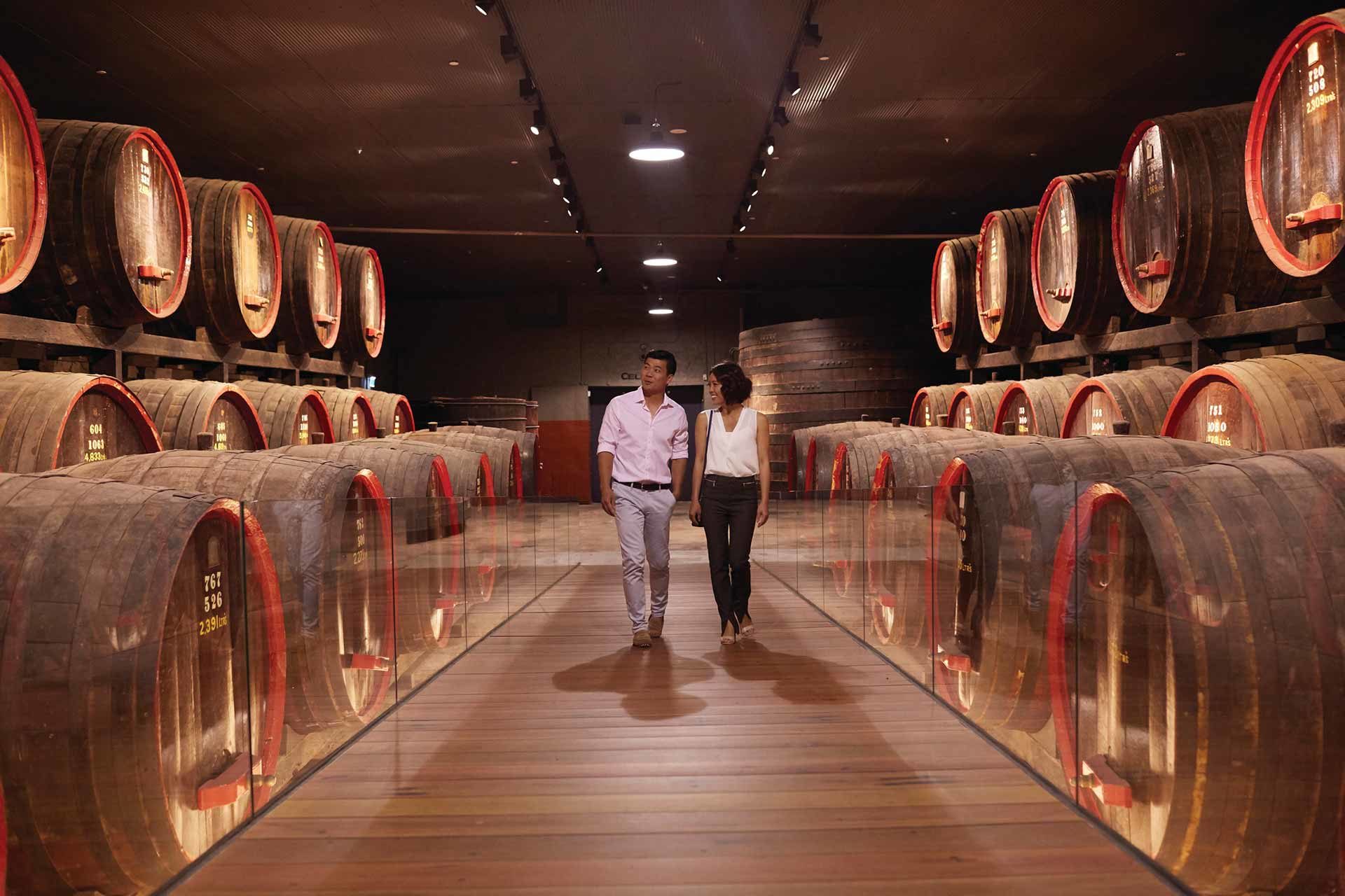 Penfolds Magill Estate, South Australia / Photo: Ryan Cantwell