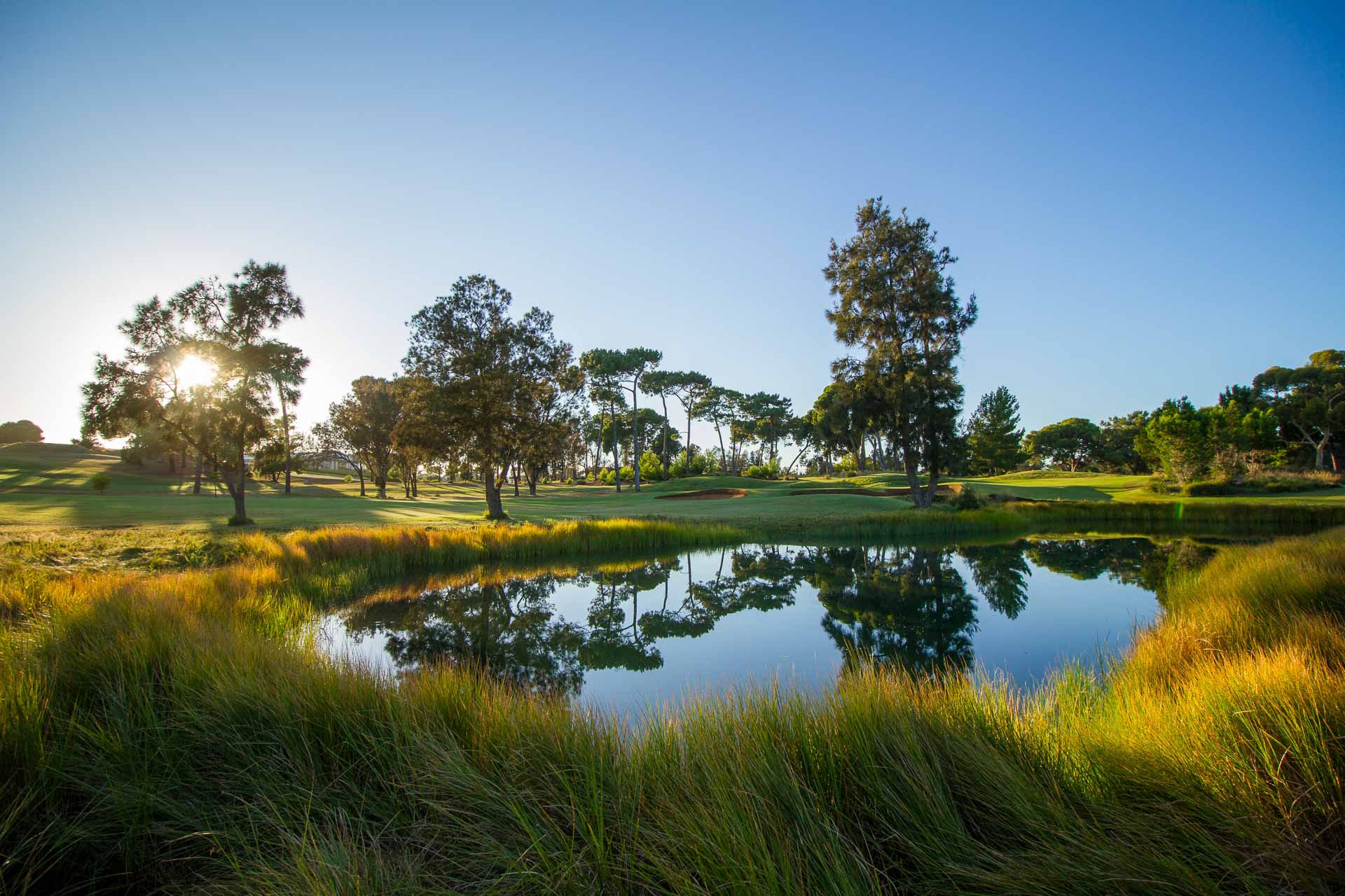 Glenelg Golf Club - Par 4, 9th Hole / Photo: David Brand