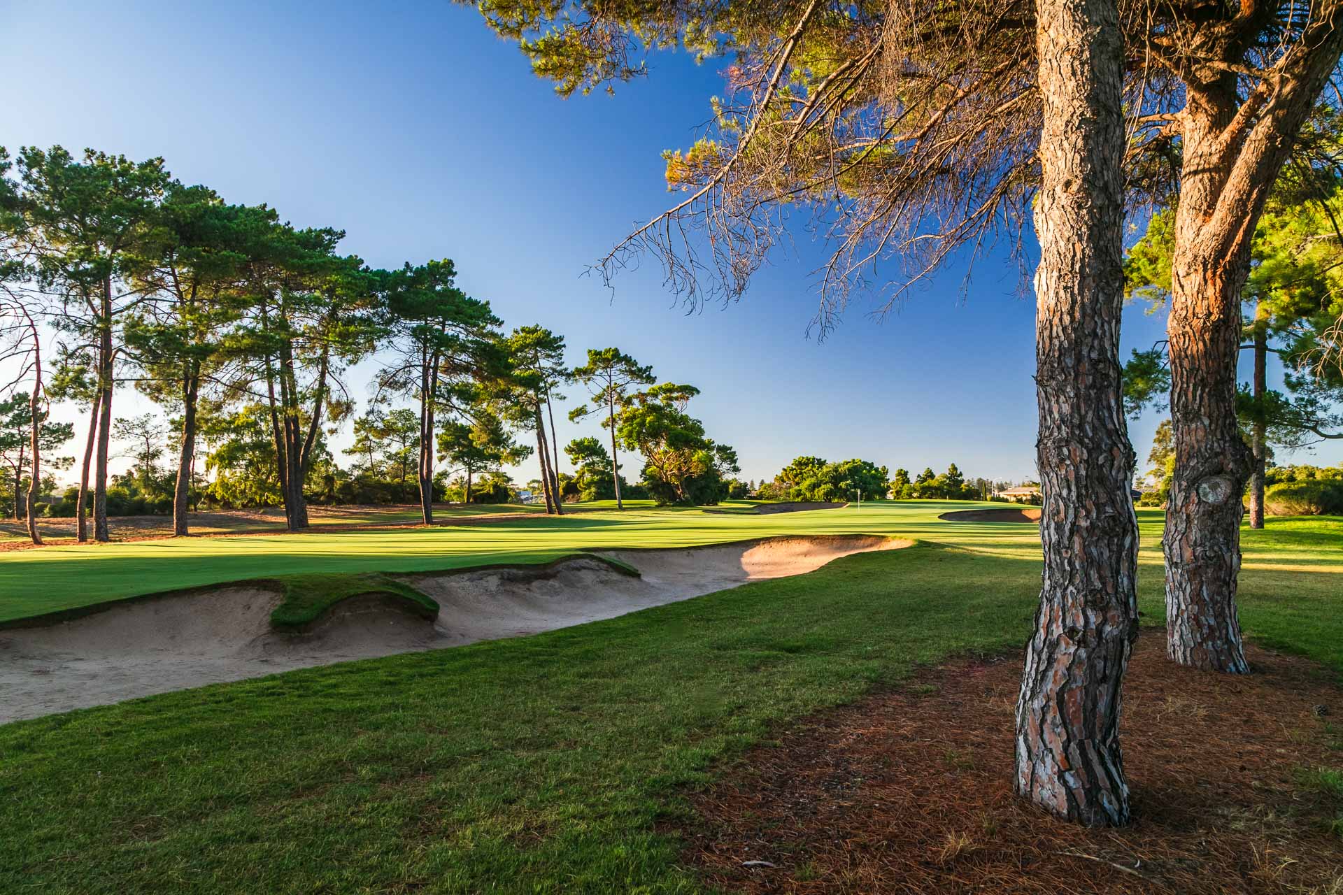 The Grange Golf Club - Par 4, 16th Hole West / Photo: David Brand