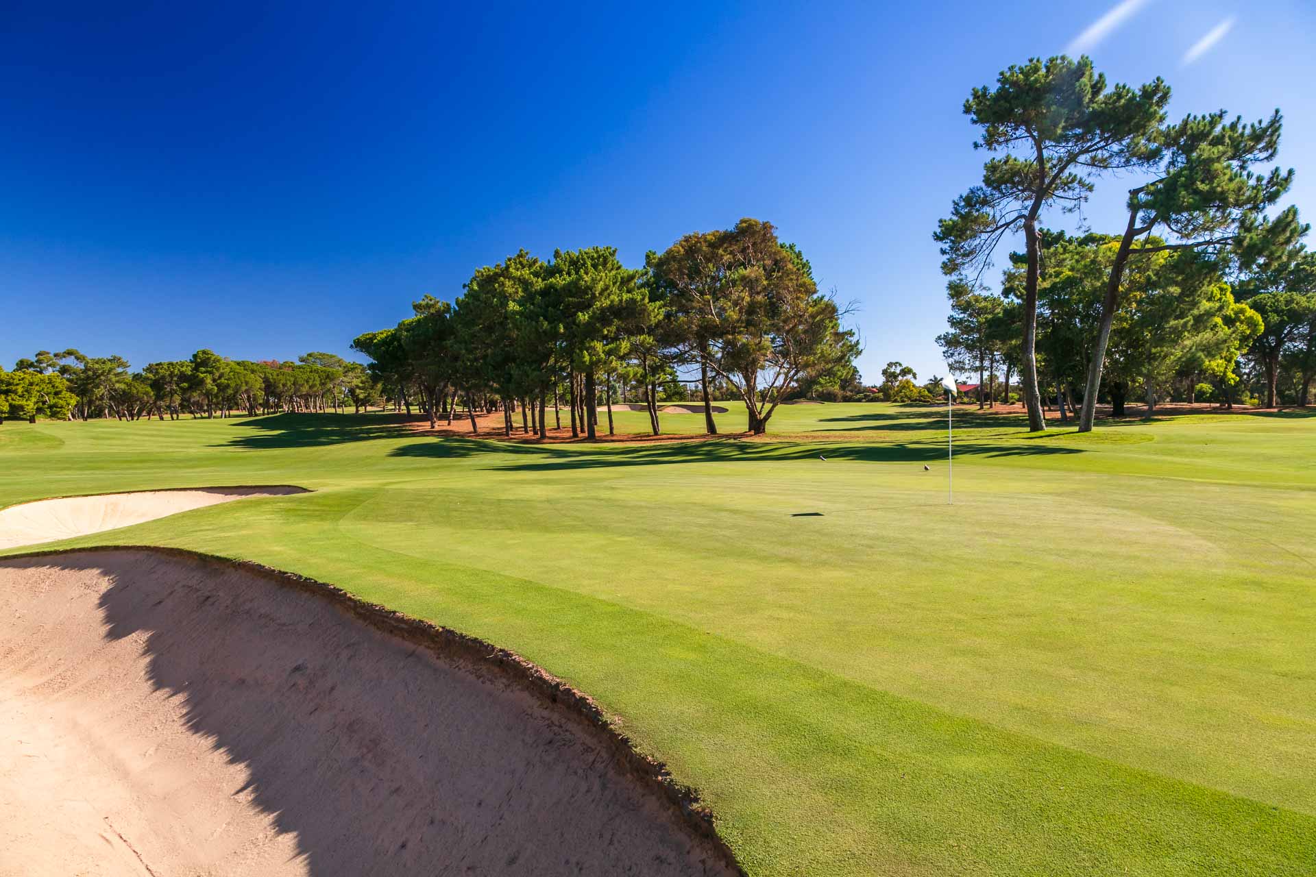 The Grange Golf Club - Par 4, 11th Hole West / Photo: David Brand