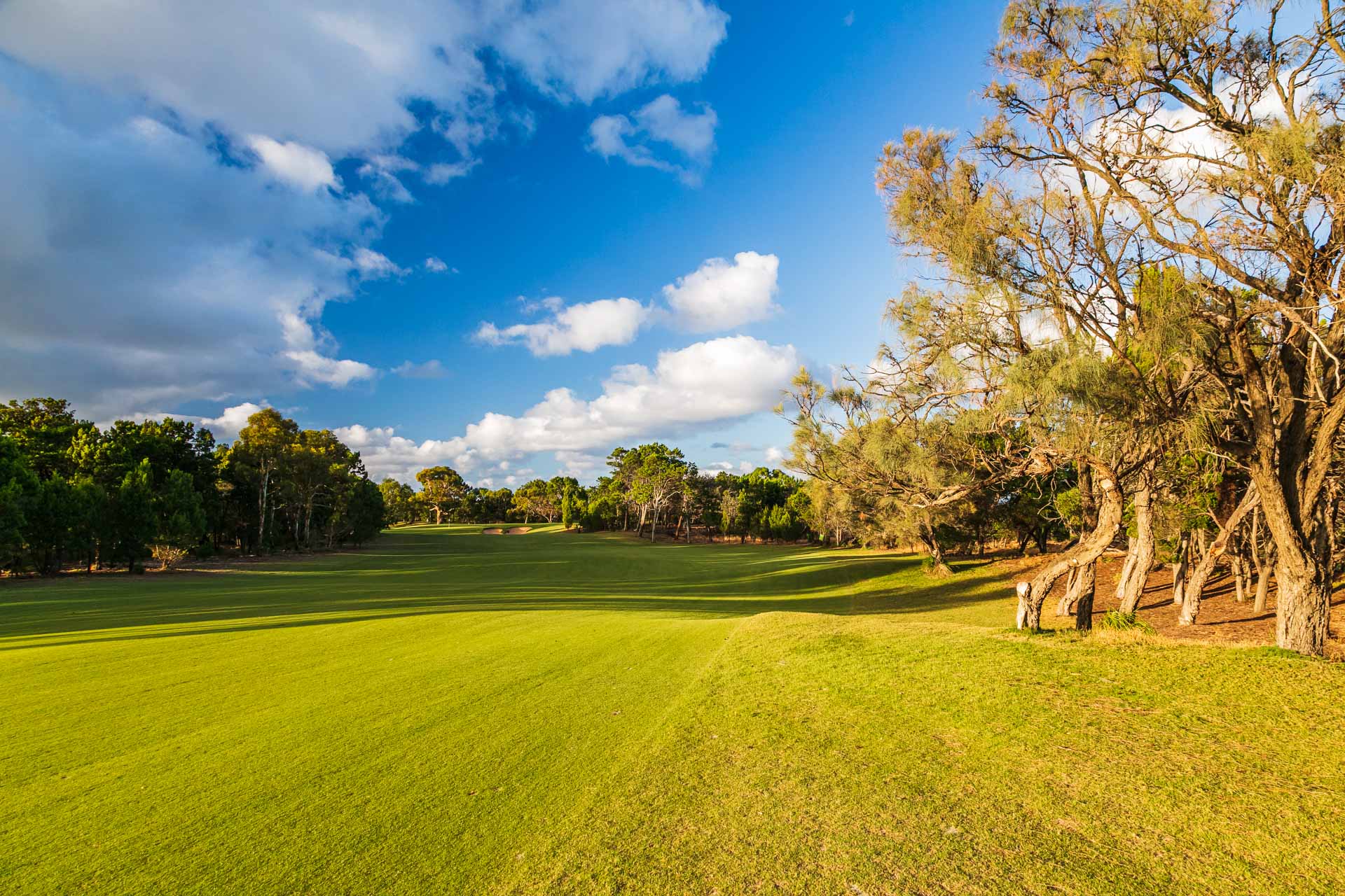 The Grange Golf Club - Par 4, 14th Hole East / Photo: David Brand