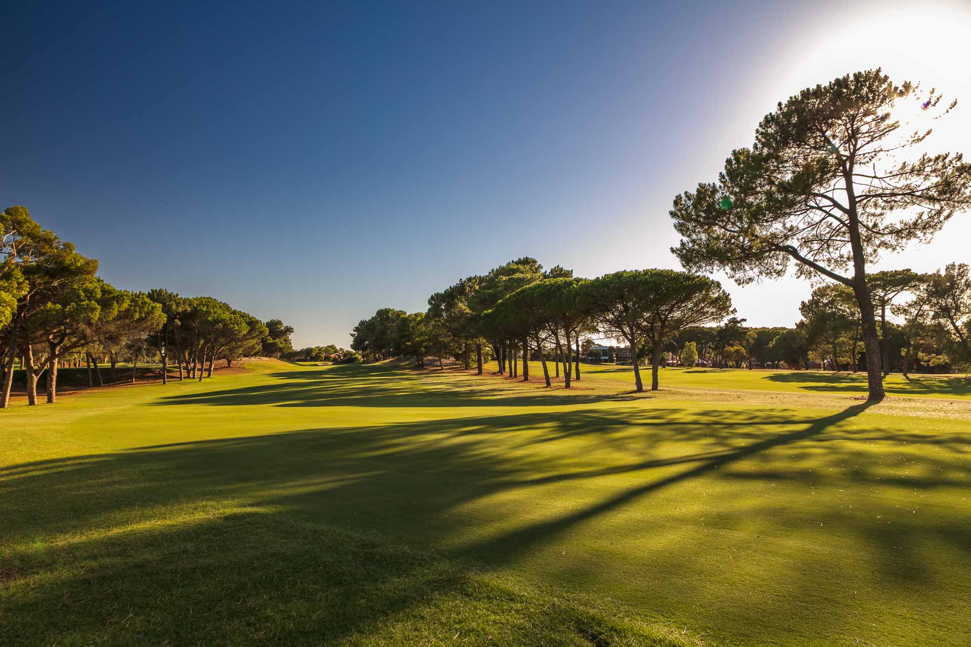 The Grange Golf Club - Par 4, 17th Hole West / Photo: David Brand