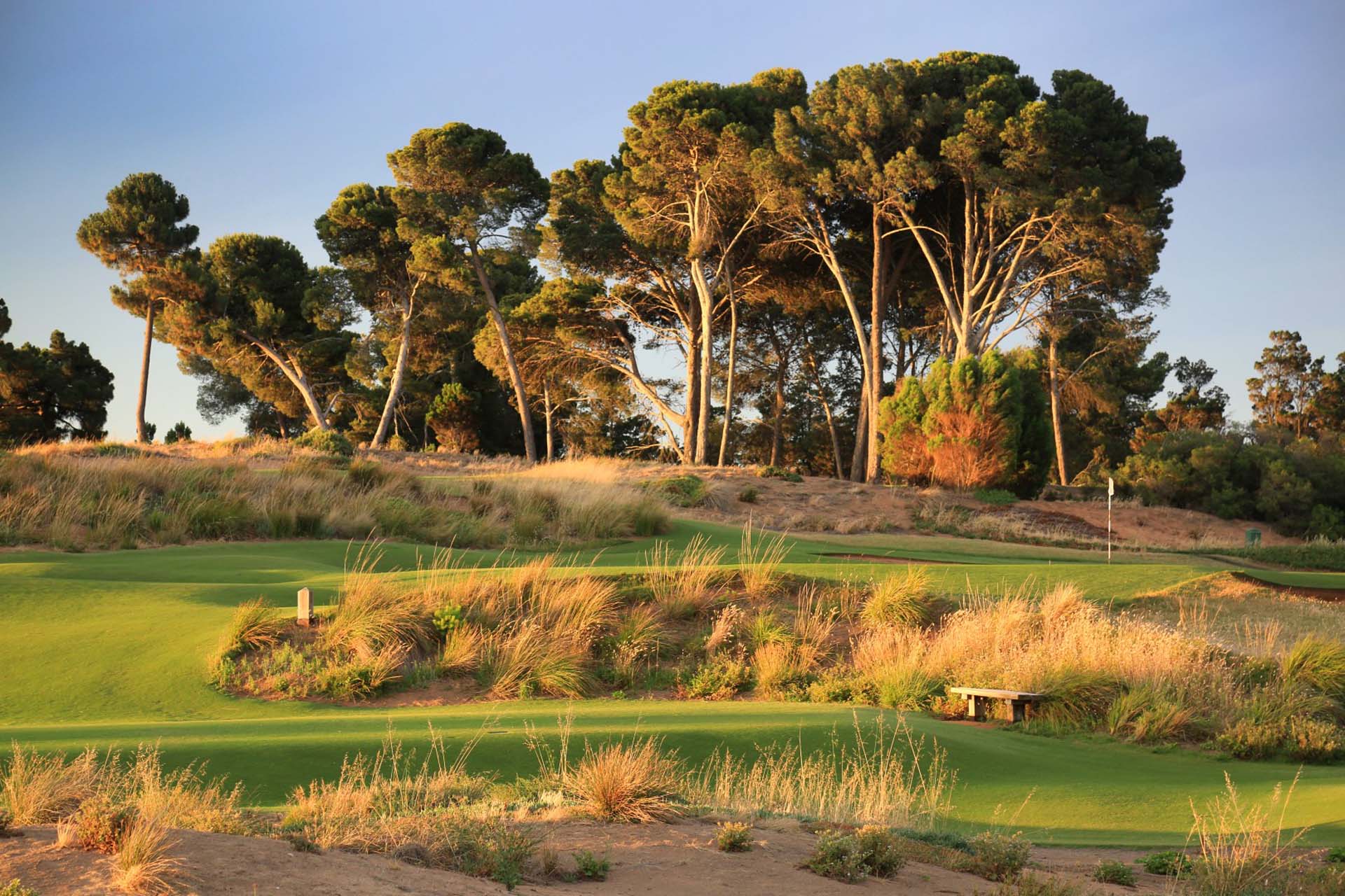 Royal Adelaide Golf Club - Par 4, 6th Green / Photo: Gary Lisbon Golf Photography
